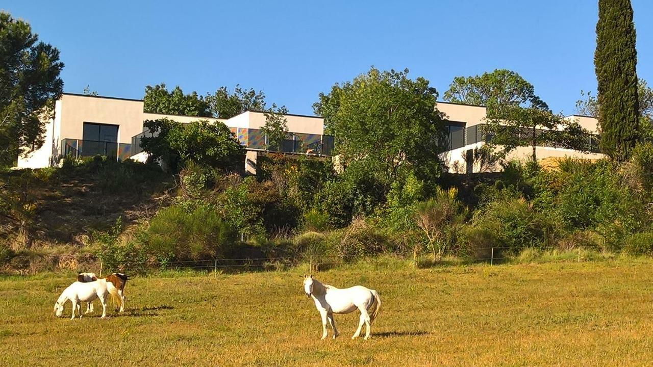 Villa Piscine Sud France Verzeille Ngoại thất bức ảnh